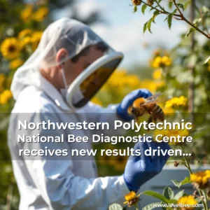 Artistic representation for Northwestern Polytechnic National Bee Diagnostic Centre receives new results driven agriculture research