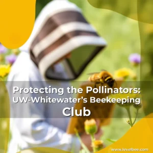 Artistic representation for Protecting the Pollinators: UW-Whitewater’s Beekeeping Club