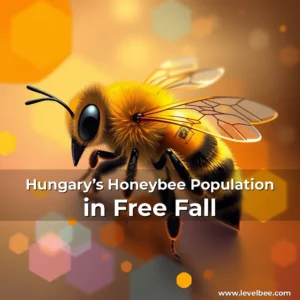 Artistic representation for Hungary’s Honeybee Population in Free Fall
